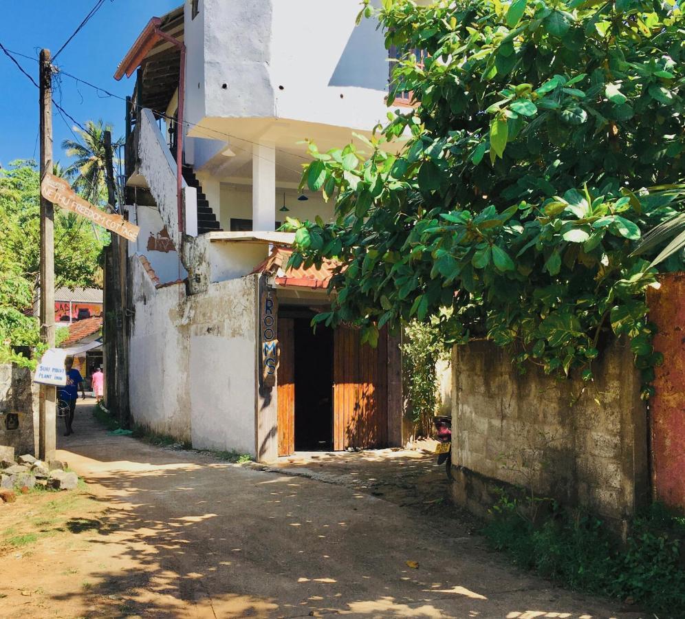 ווליגאמה Nethu Freedom Cottage מראה חיצוני תמונה